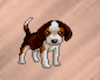 Animated Little Puppy