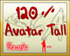 120 % avater tall resize