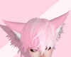 ♡ pink fox ears (M/F) 
