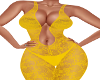 Sunshine Lace Bodysuit