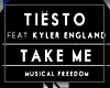 *S Take me (tiesto)