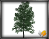 (ED1)Trees-24