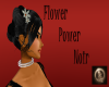 [xTx]Flower Power Noir
