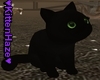Kitten Shadow Pet + Trig
