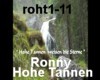 HB Hohe Tannen