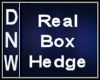 Realistic Box hedge