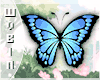 🐀 Butterfly B. Blue