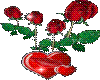 Ali-red rose