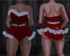 Mrs.Claus Dress Couple