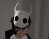 Hollow Knight Craked