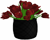 ||RSS||flowerpot