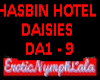 HASBIN HOTEL (DAISIES)