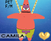 Patrick Pet Animated w/s