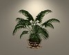 L-Relaxing Plant 2