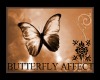 ButterFly affect