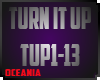 TURN IT UP REMIX