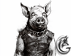 Pig in a chain collar