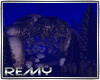$-Enchanted Cave Night