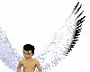 Edonil's Wings