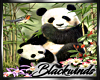 Panda Bambo Frame v.1