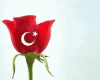 Turkiye bayragi