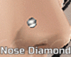 Nose Diamond