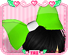 *T* Turtle Bow