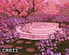 Pink Lake Spring PR