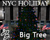 *B* NYC Holiday Big Tree