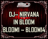 DJ-NIRVANA IN BLOOM