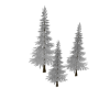 Tree Pines White