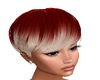 PIXIE-OMBRE V1