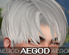 Ⲁ𝓖 Silver Hairstyle