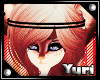 Dixi Mich Bundle (F)