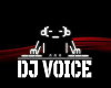 DJ Voice