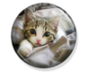 Bella Buttons: Kitten
