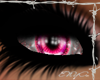 lee eyes pink