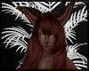 Brown Fur Fae ! 