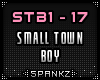 Small Town Boy - STB