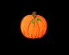 Tiny Pumpkin For Pie