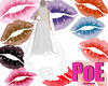 Lace Veil: Add On