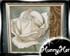 Wall Art White Rose V1