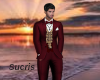 FORMAL SUIT WINE COLOR