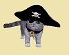 Ships Cat Horatio