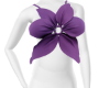 Star Flower Crop Top