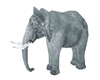 Animated elephant
