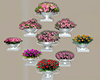 flower shop -vases