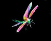 rainbow rave dragonfly