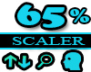 65% Scaler Head Resizer
