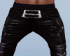~V~ Dusty Leather Pants